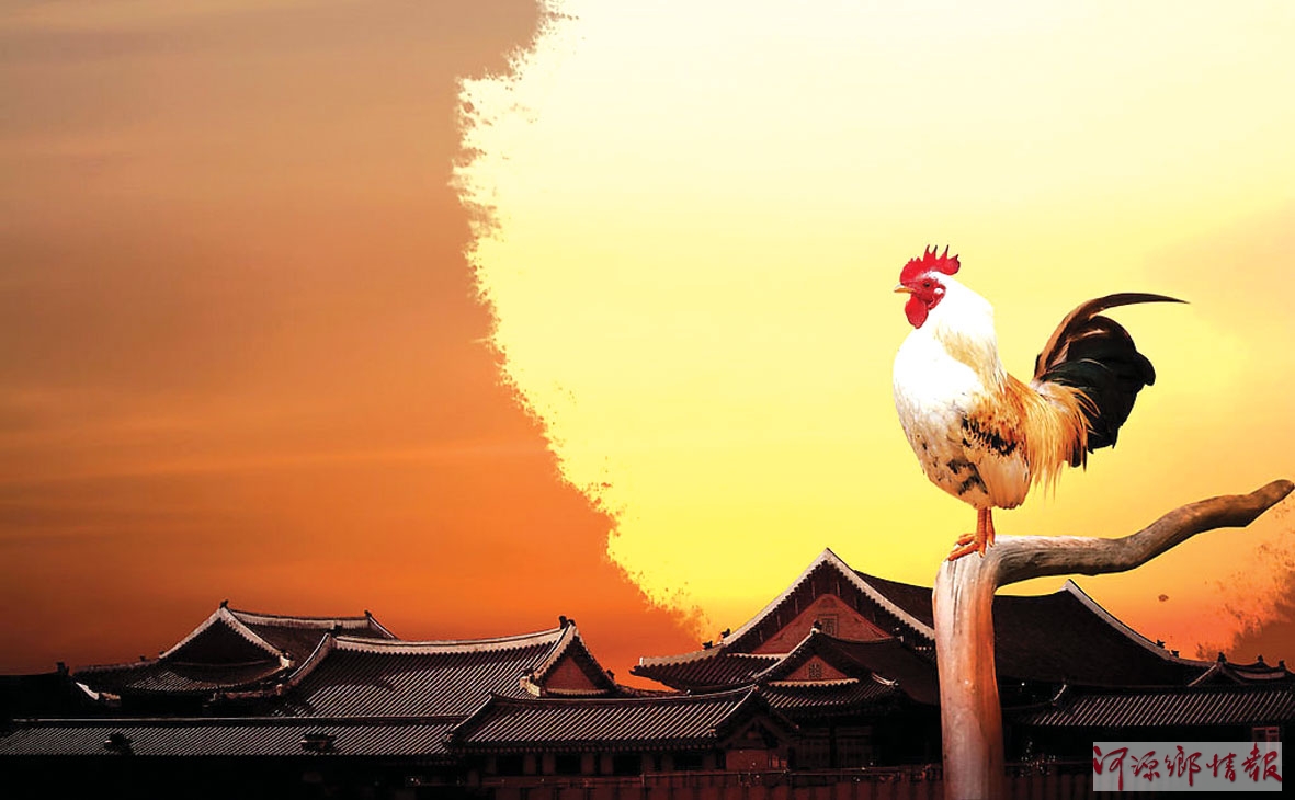 雄雞報(bào)曉 走進(jìn)雞年 雄雞報(bào)曉 走進(jìn)雞年
