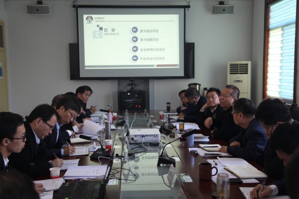 龍鋼集團(tuán)召開2019年投資計劃評審會