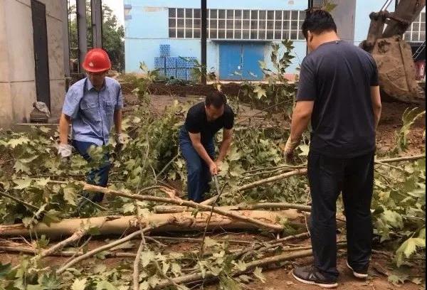 龍鋼集團(tuán)十月踏歌行 奮戰(zhàn)四季度 龍鋼集團(tuán)十月踏歌行 奮戰(zhàn)四季度