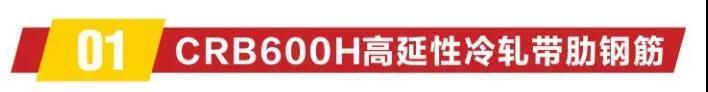 “禹龍”CRB600H高延性冷軋帶肋鋼筋（一）