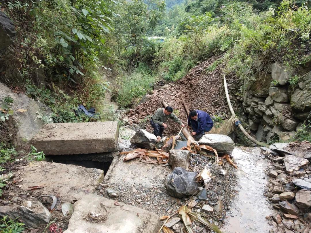 做本職、助和諧、促提升
