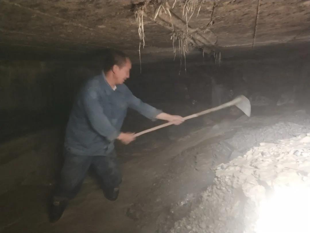 做本職、助和諧、促提升