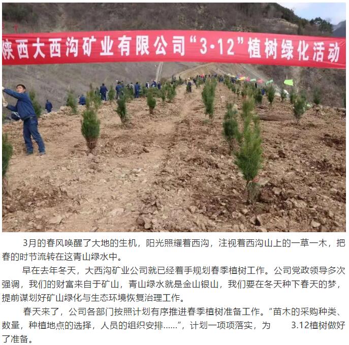 望春而動 向綠而行——龍鋼集團大西溝礦業(yè)公司 開展“3.12”植樹活動