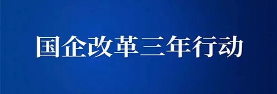落實企業(yè)”雙百行動”三年行動方案,有序推進“雙合同”管理工作 落實企業(yè)”雙百行動”三年行動方案,有序推進“雙合同”管理工作