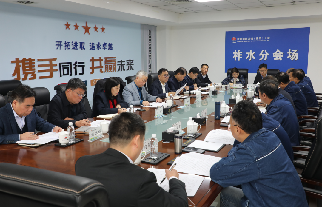 楊海峰到大西溝礦業(yè)公司調研指導菱鐵礦開發(fā)工作